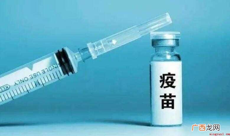 如何确定疫苗的有效期