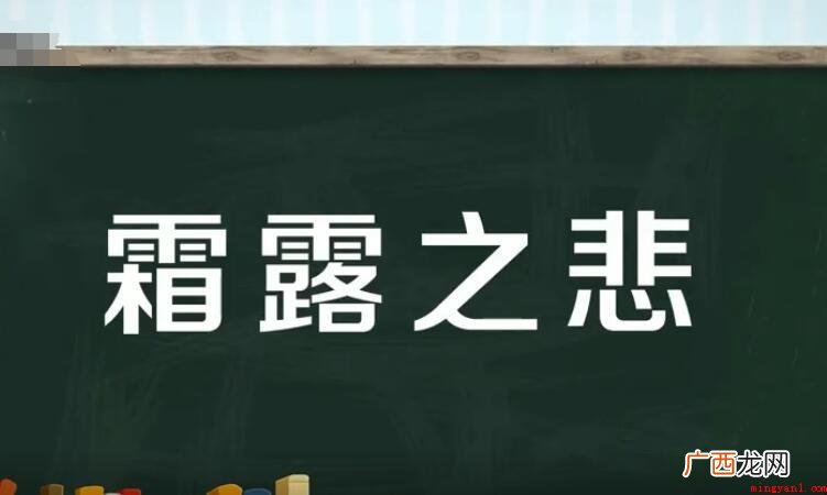 霜露之悲,汉语成语,拼音字母 霜露之悲的意思是什么