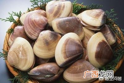 蛤蜊肉是不是花甲,蛤蜊和花甲一样吗，有什么区别？