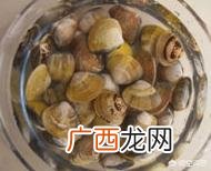 蛤蜊肉是不是花甲,蛤蜊和花甲一样吗，有什么区别？