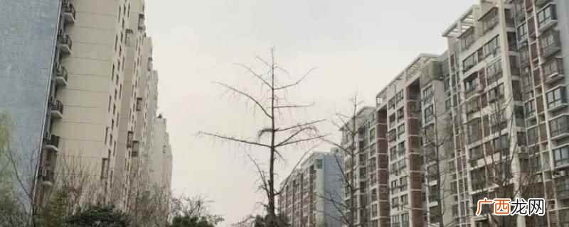 石羊新寓是拆迁安置房。 石羊新寓是拆迁安置房吗