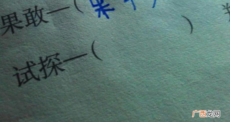 尝试的近义词,尝的近义词是什么？