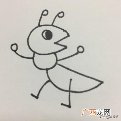 怎么画蚂蚁简单好看,红火蚁怎么画？