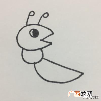怎么画蚂蚁简单好看,红火蚁怎么画？