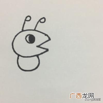 怎么画蚂蚁简单好看,红火蚁怎么画？