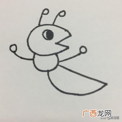 怎么画蚂蚁简单好看,红火蚁怎么画？