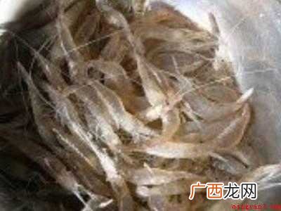 大白虾怎么做好吃又简单