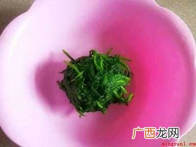 野艾草怎么做好吃