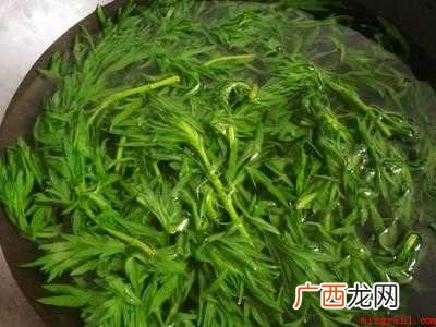 野艾草怎么做好吃