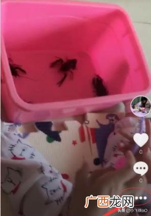 如何删除抖音视频作品,抖音怎么删除发布作品？