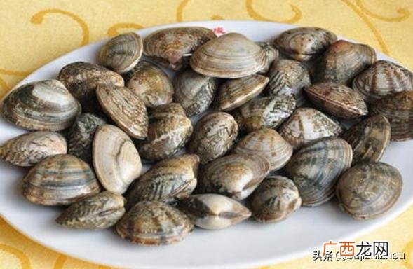 花甲可以过夜第二天吃吗,煮熟的花甲放冰箱里隔夜还能吃吗？