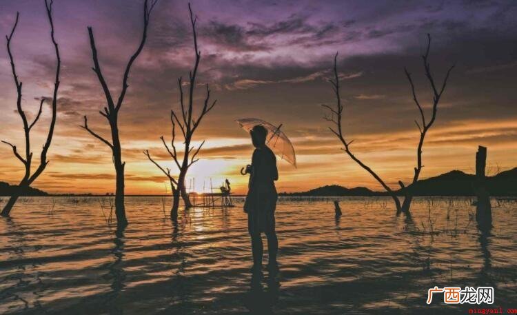 对某人失望心寒的诗句有哪些