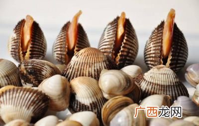 海滩上怎么挖蛤蜊,油蛤怎么挖？