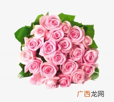 情人节送什么花合适,情人节可以送些什么花，都有什么具体含意？