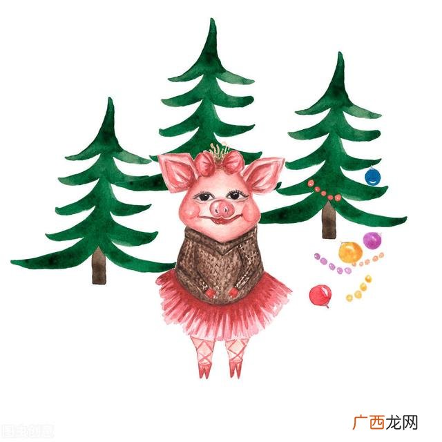 生肖猪性格特点缺点 属猪人的致命弱点是什么