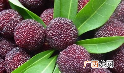 杨梅几月份成熟上市,宁波杨梅上市时间？