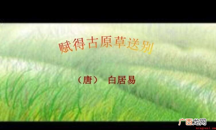 赋得古原草送别抒发了什么情感 《赋得古原草送别》抒发了什么情感