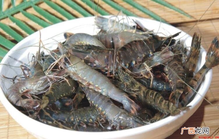 草虾是海虾还是河虾_健康频道 草虾是海虾还是河虾