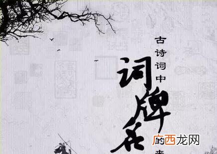 宋词词牌名有哪些,哪些古诗里面有词牌名和题目？