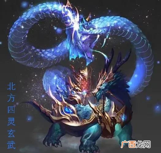 天之四灵之一龟蛇是什么意思 玄武的寓意和象征意义