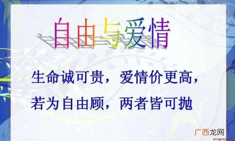 爱情价更高的作者是谁? 爱情价更高的作者是谁
