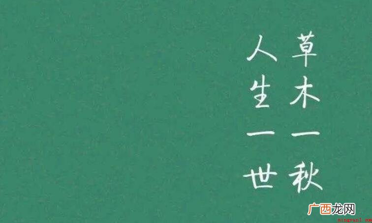人活一世草木一秋全诗是什么