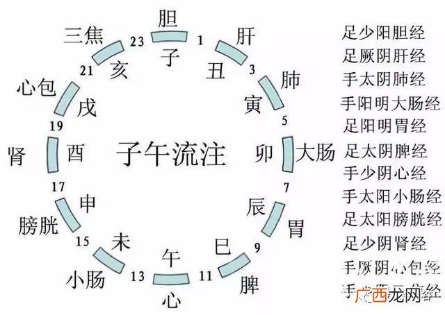 十二条经络的作用,十二条经络速记口诀？
