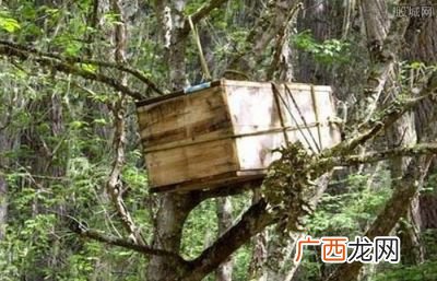 什么叫树葬,西藏树葬是怎么个葬法？