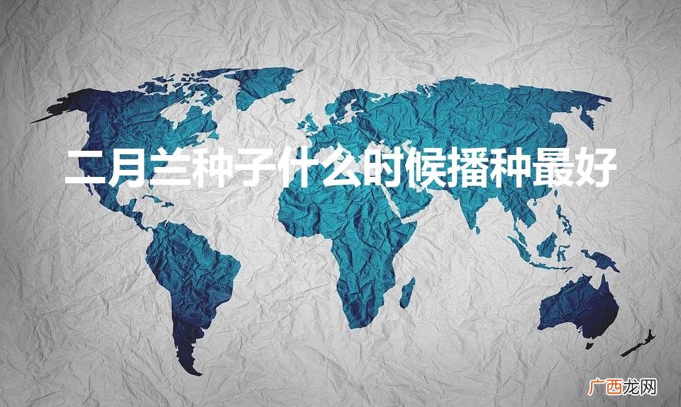 二月兰种子什么时候播种最好（二月兰种植方法和时间)