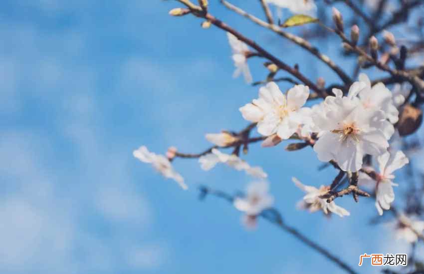春夏秋冬分别是哪几个月 春夏秋冬对应是哪几个月份