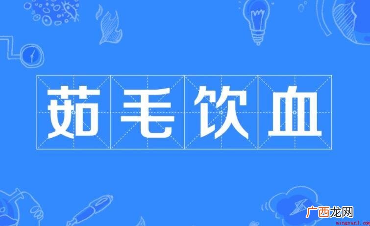 什么毛什么血词语有哪些