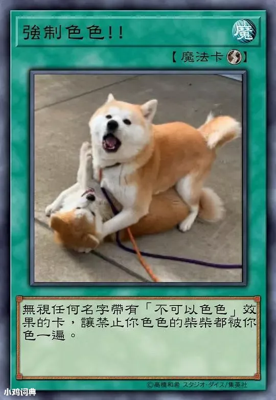牌组游戏 把柴犬或是一切狗p在游戏王的信用卡上,再加上专业 柴犬色色卡是什么意思