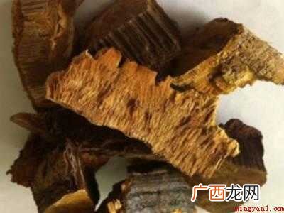 桑黄怎么吃法