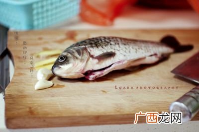 鱼的记忆有多少,什么鱼的记忆最长?具体多久？