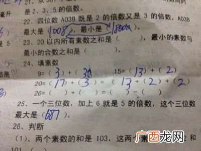 素数是什么意思,什么是素数集？