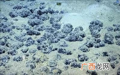 锰结核是用来做什么的,金属结核是什么意思？