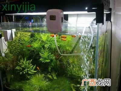 如何给鱼缸充氧,什么才算给鱼缸打氧？