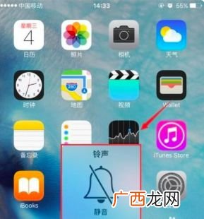 苹果手机显示静音图标,手机静音标识怎么不见了？