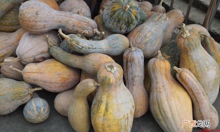 老南瓜和嫩南瓜有什么区别
