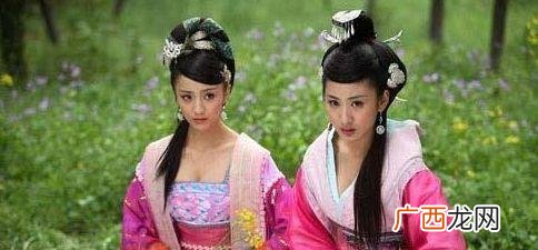 汉成帝的第一任皇后是谁,一朝五皇后最后谁当太后？