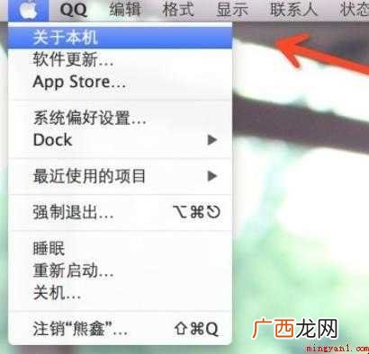 苹果电脑内存怎么看 查看内存方法 苹果电脑内存怎么看