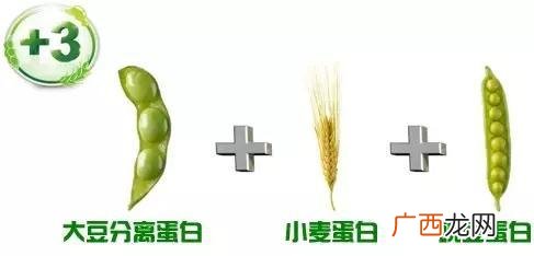 植物蛋白是什么哪些含有植物蛋白,常用的植物性蛋白质饲料有哪些？
