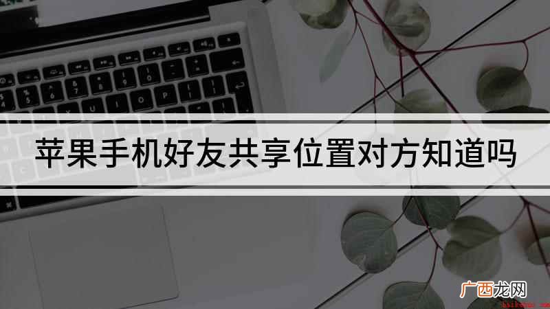 苹果手机不关闭共享位置的情况下让对方不知道自己位置 苹果手机好友共享位置对方知道吗