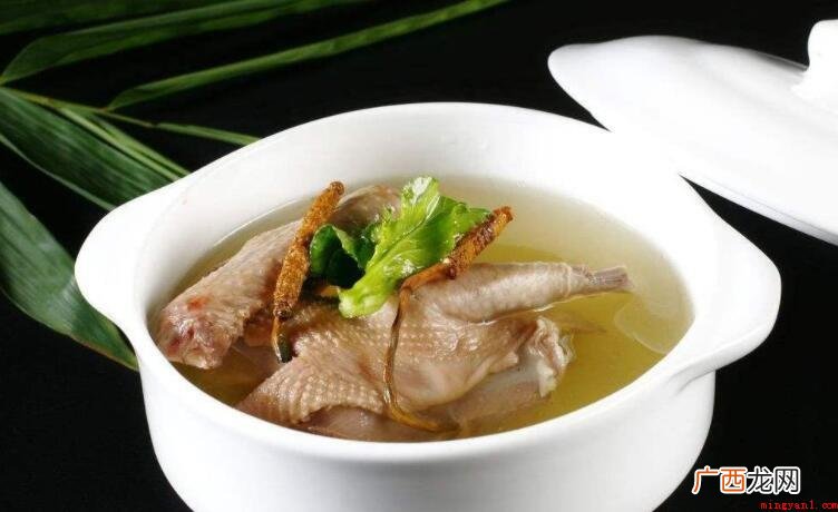 鸽子汤为什么有点苦_健康频道 鸽子汤为什么有点苦