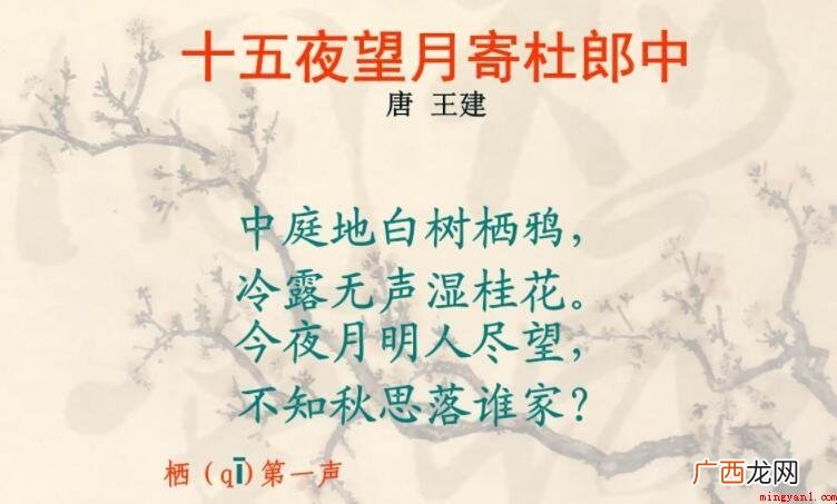 十五夜望月寄杜郎中的作者是谁 《十五夜望月寄杜郎中》的作者是谁