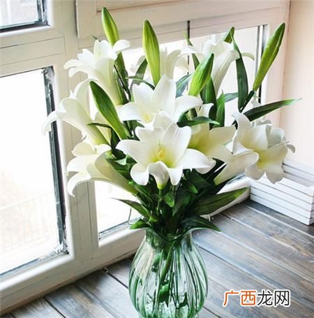 百合花花期是什么时候,百合花什么时候开放？