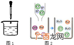 酸碱中和反应的实质是什么,中和反应为什么比氧化还原反应发生的快？