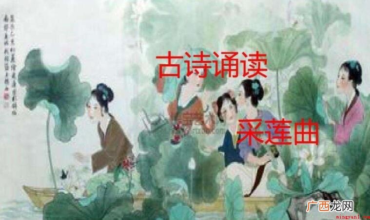 《采莲曲》是什么体裁_娱乐频道 《采莲曲》是什么体裁