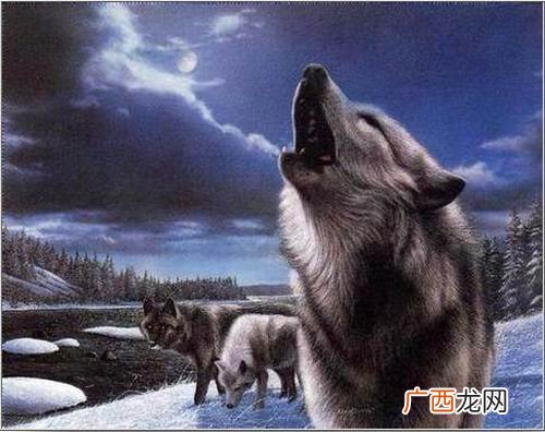 有关狼鬼的成语,一只狼在吼猜成语？