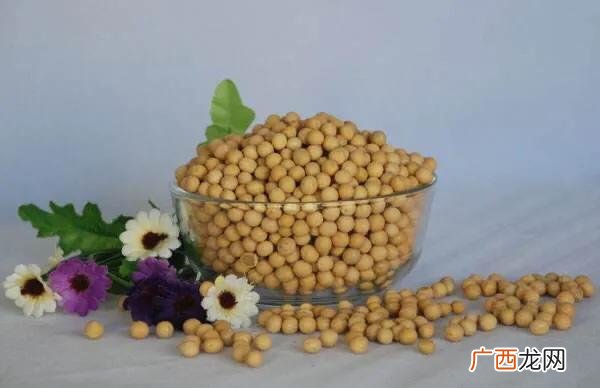 醋泡黄豆的功效,黄豆泡醋的吃法？